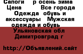 Сапоги 35 р.осень-зима  › Цена ­ 700 - Все города Одежда, обувь и аксессуары » Мужская одежда и обувь   . Ульяновская обл.,Димитровград г.